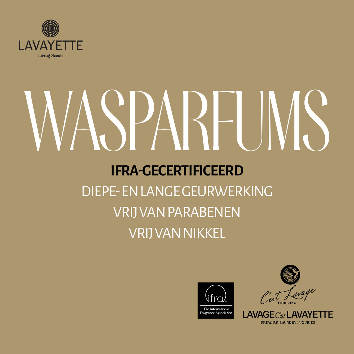 Lavayette Premium Waschparfüm Dark Nights 500ml