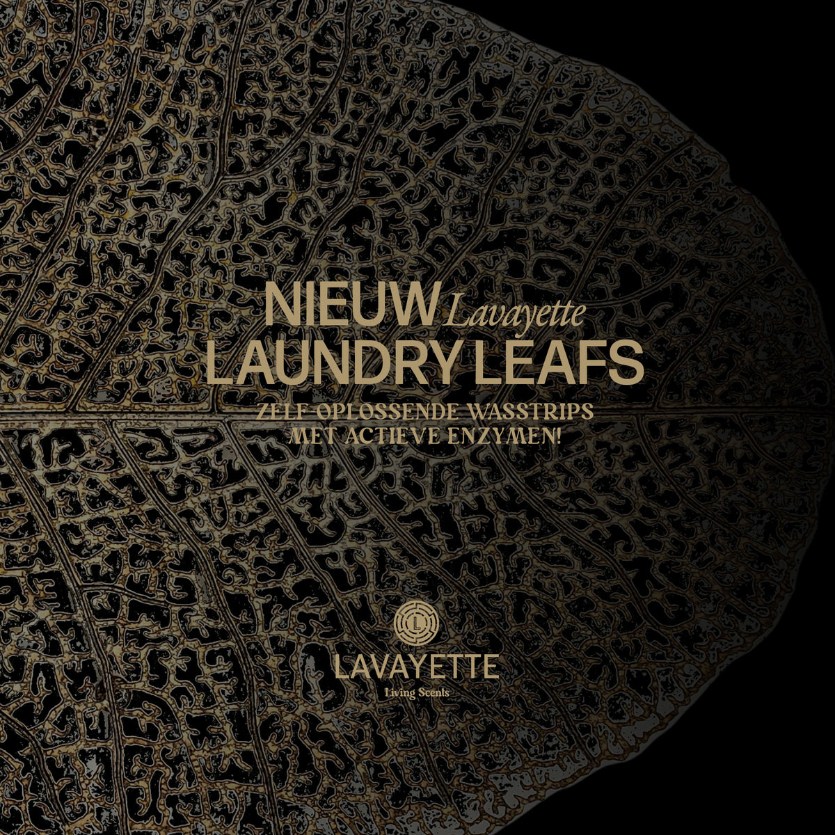 Lavayette Laundry Leafs - wasstrips 50st. - 100 wasbeurten - Lavayette